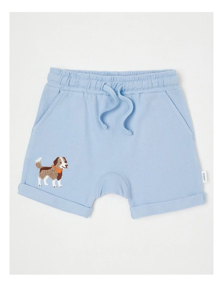 Solid Dog Shorts Bluestone image 1