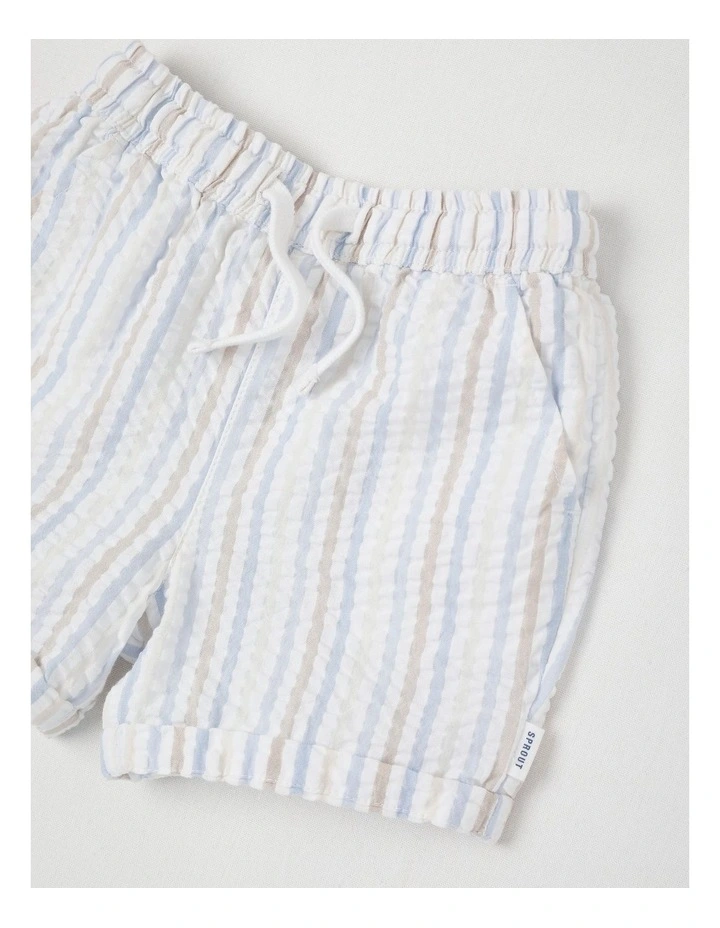 Stripe Shorts in Assorted image 2