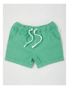 Stripe Shorts in Green