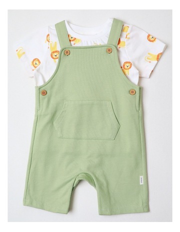 Lt Khaki colour