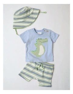 Crocodile 3 Pack Set in Multi