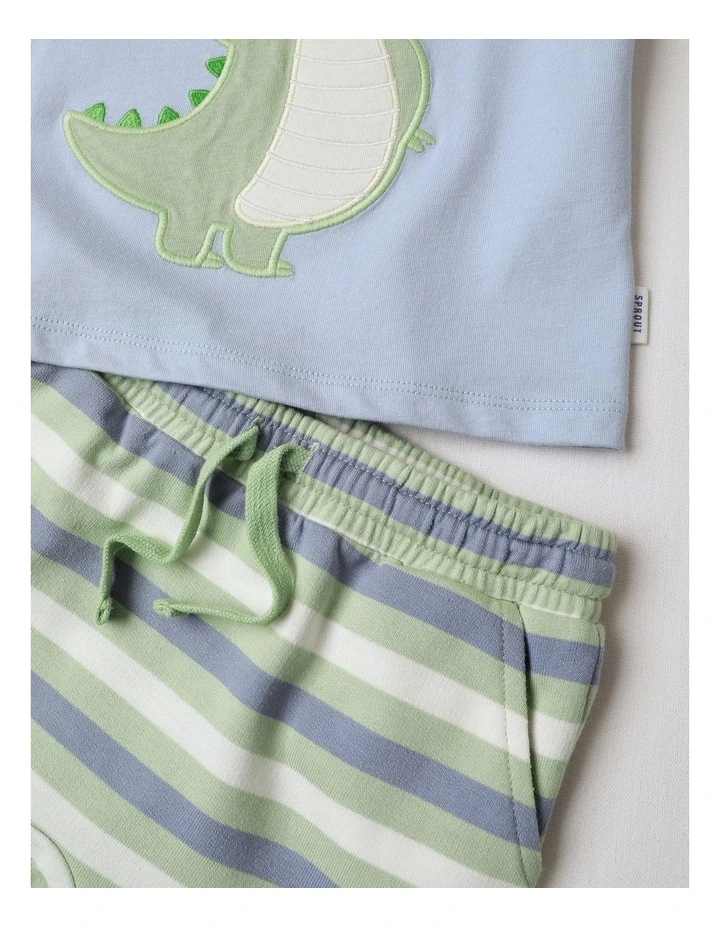Crocodile 3 Pack Set in Multi image 4