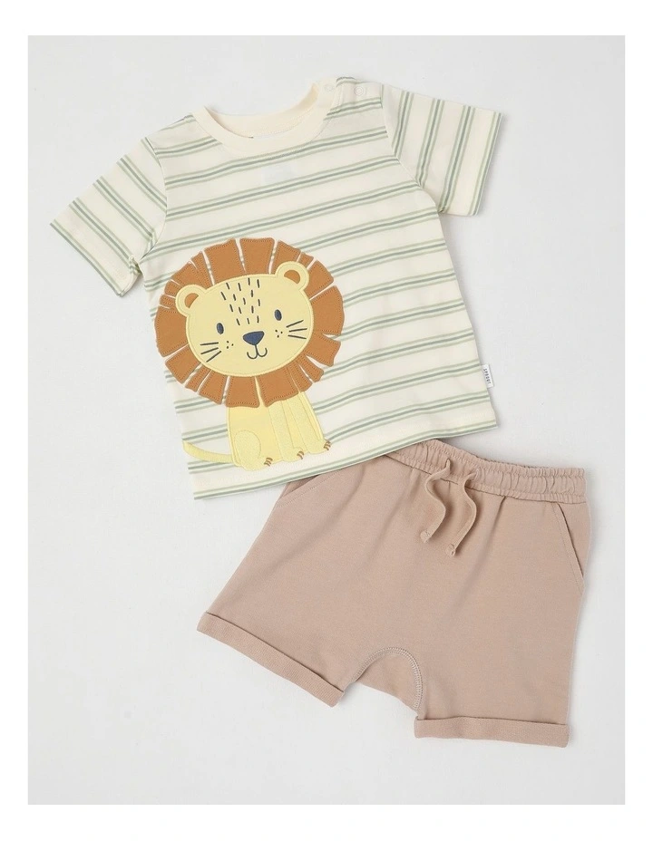 Lion Set in Assorted image 1