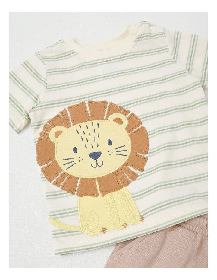 Lion Set in Assorted image 2