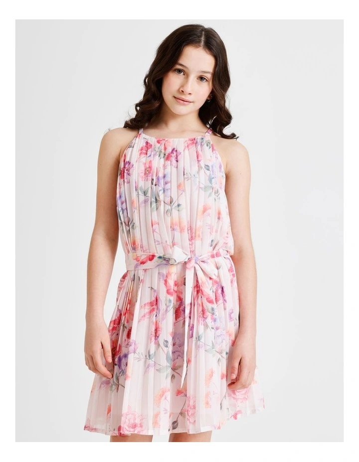 Ellie Sleeveless Ombre Pleated Dress in Pink image 2
