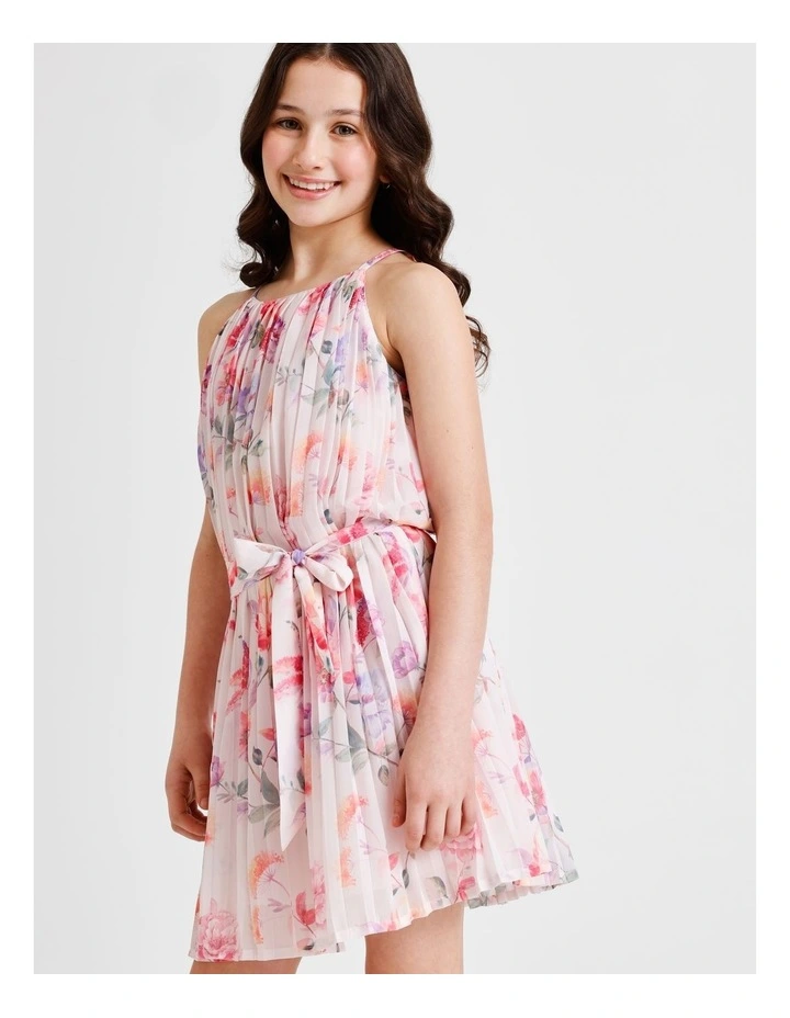 Ellie Sleeveless Ombre Pleated Dress in Pink image 4