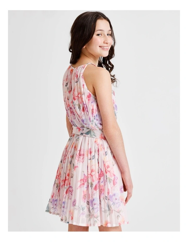 Ellie Sleeveless Ombre Pleated Dress in Pink image 6