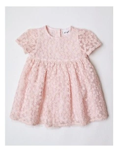 Maya Short Sleeve Fit and Flare Dress with All Over Daisy Embroidery in Pink