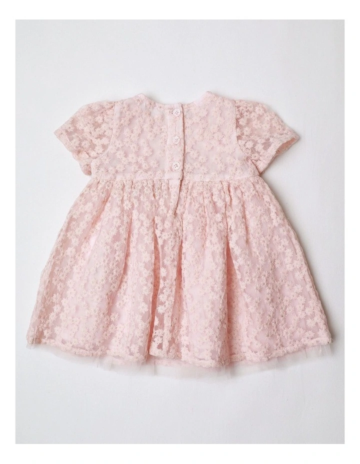 Maya Short Sleeve Fit and Flare Dress with All Over Daisy Embroidery in Pink image 3