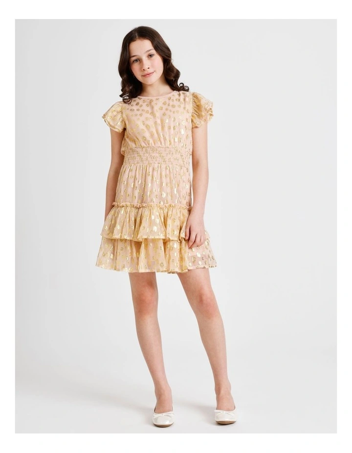 Izzy Short Sleeve Lurex Dobby Mini Dress with Ruffles and Shirred Waist in Pink image 6