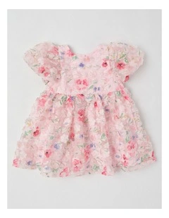 Lulu Newborn Floral Applique Dress in Pink