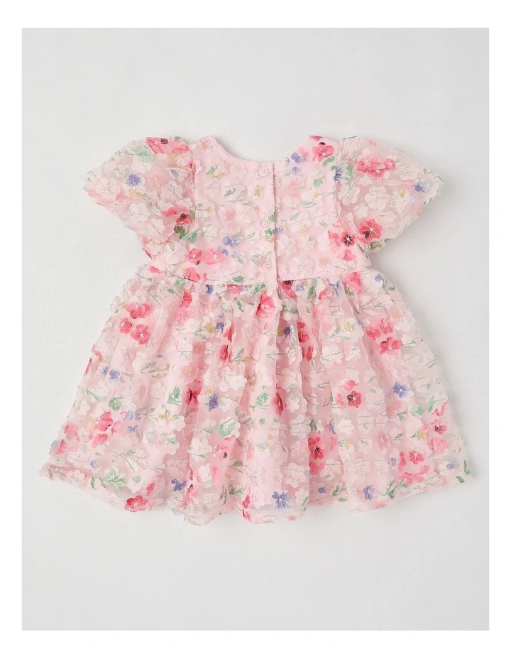 Lulu Newborn Floral Applique Dress in Pink image 3