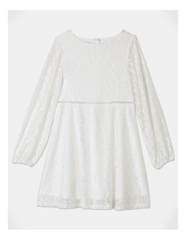Sage Skater Lace Dress In White
