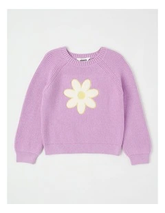 Long Sleeve Raglan Knit Jumper in Daisy Purple