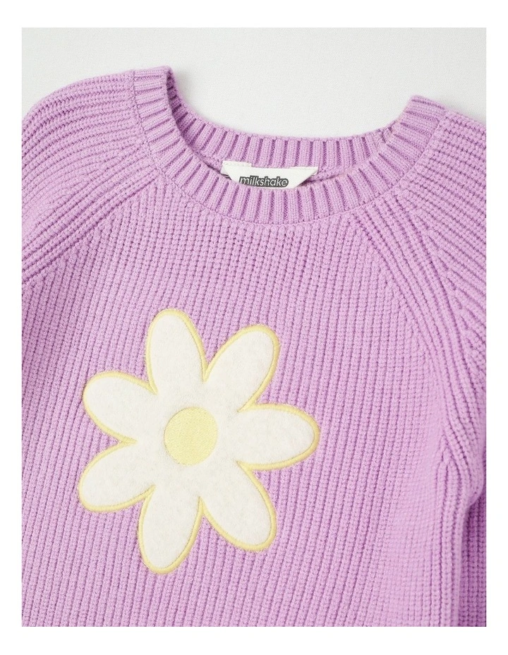 Long Sleeve Raglan Knit Jumper in Daisy Purple image 2