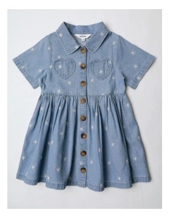 Shirt Dress in Denim