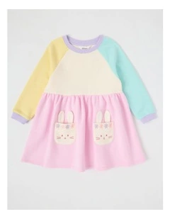 Long Sleeve Raglan Dress with Bunny Pockets in Pink