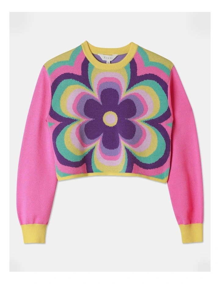 Knitted Jacquard Jumper in Rainbow image 1