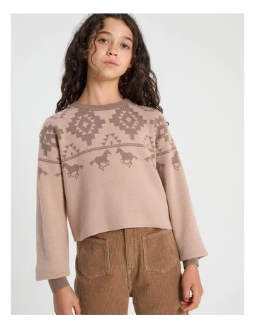 Knitted Jacquard Jumper in Brown