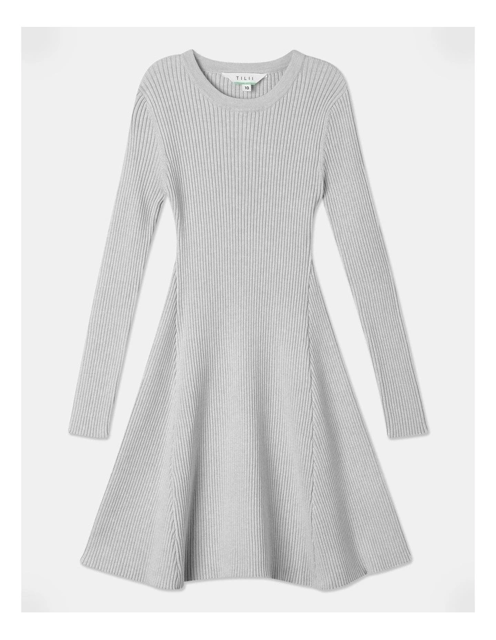 Long Sleeve Knitted Skater Dress in Grey Marle image 1