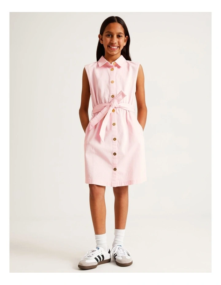 Sleeveless A-Line Button Front Dress with Tie in Light Pink image 1