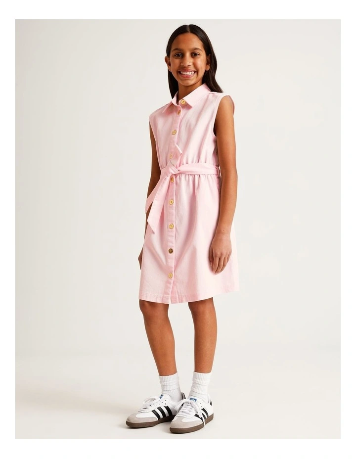 Sleeveless A-Line Button Front Dress with Tie in Light Pink image 4