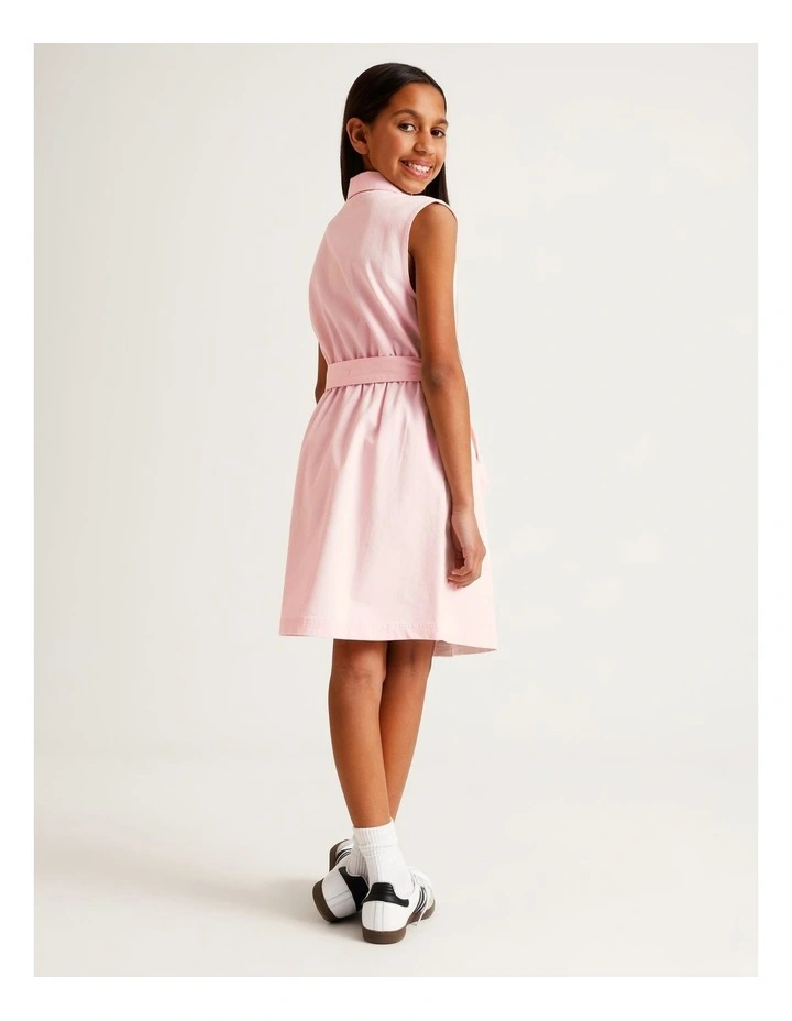 Sleeveless A-Line Button Front Dress with Tie in Light Pink image 5