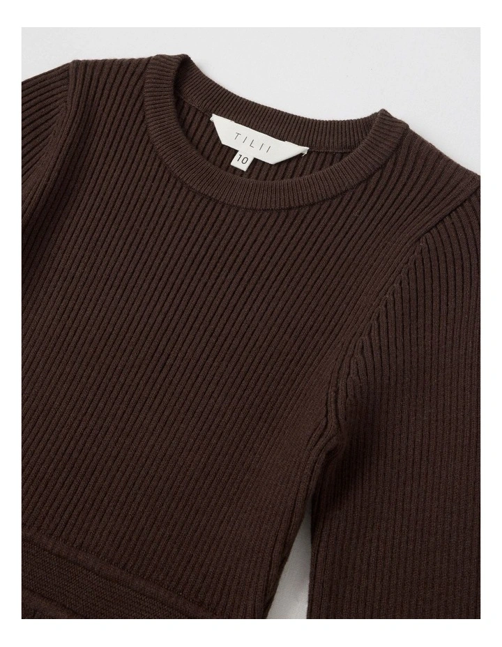 Knitted Skater Dress in Brown image 4
