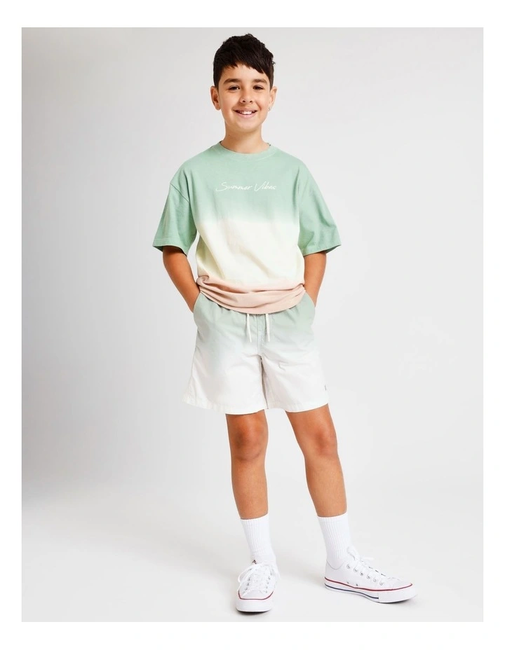 Essentials Print Tee in Ombre image 4