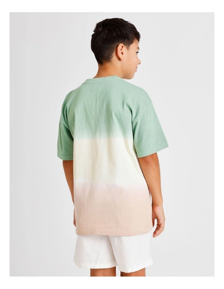 Essentials Print Tee in Ombre image 6