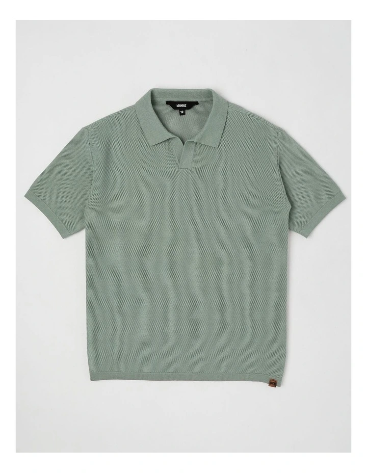 Knit Polo Top in Sage image 1