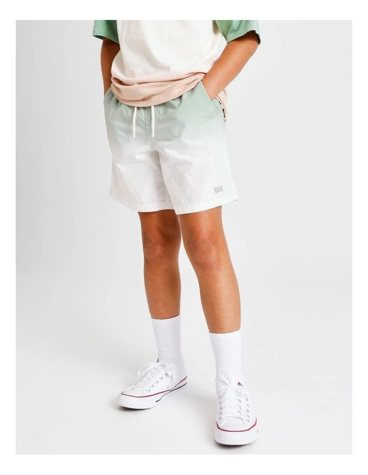 Essentials Volley Short in Ombre image 2