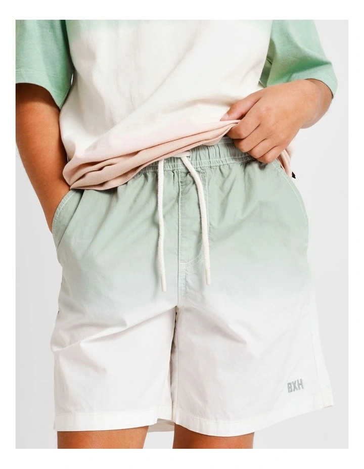 Essentials Volley Short in Ombre image 3