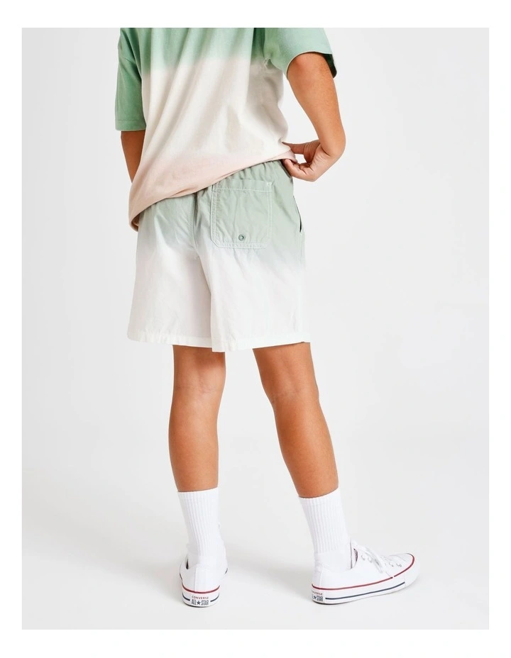 Essentials Volley Short in Ombre image 4