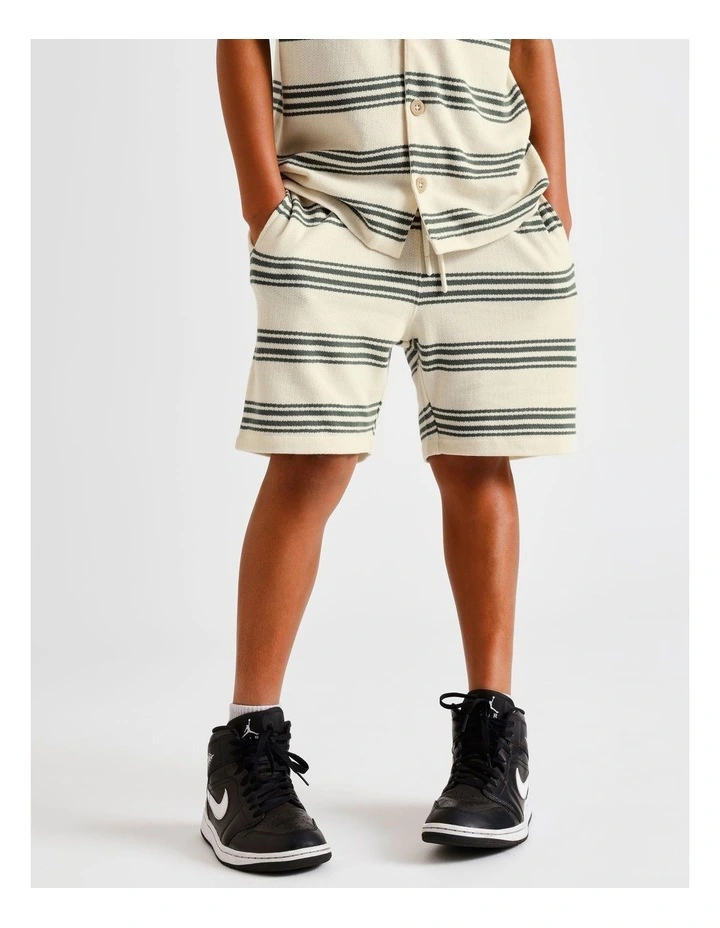 French Terry Resort Short in Green Stripe image 2