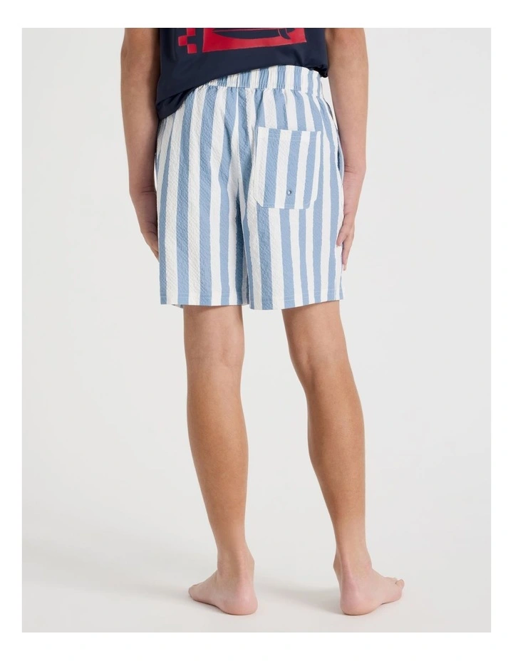 Seersucker Boardshort in Blue Stripe image 5