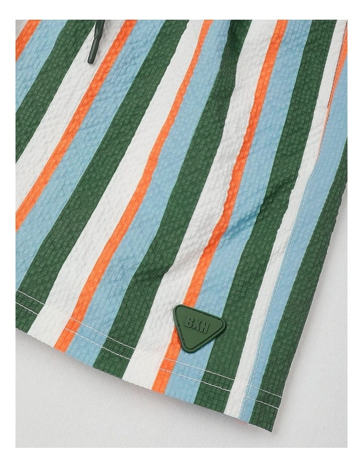 Seersucker Boardshort in Blue/ Green/ Orange/ White Stripe image 4