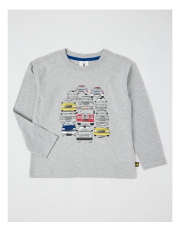 Grey Marle colour