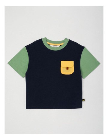 Navy colour