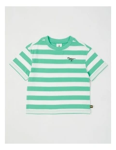 Short Sleeve Stripe Boxy Tee in Green/White Stripe