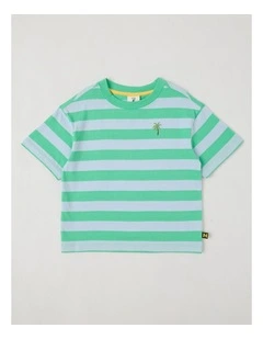 Short Sleeve Stripe Boxy Tee in Green & Light Blue Stripe
