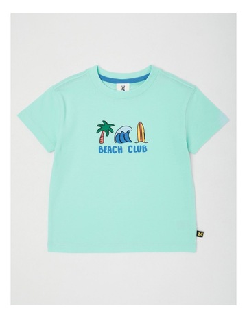 Mint colour