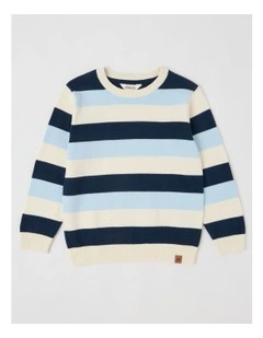 Knitted Jacquard Crew Neck Jumper in Blue Multi Stripe