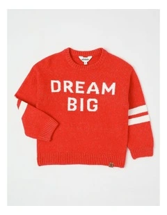 Knit Sweater with Sleeve Stripe in Red