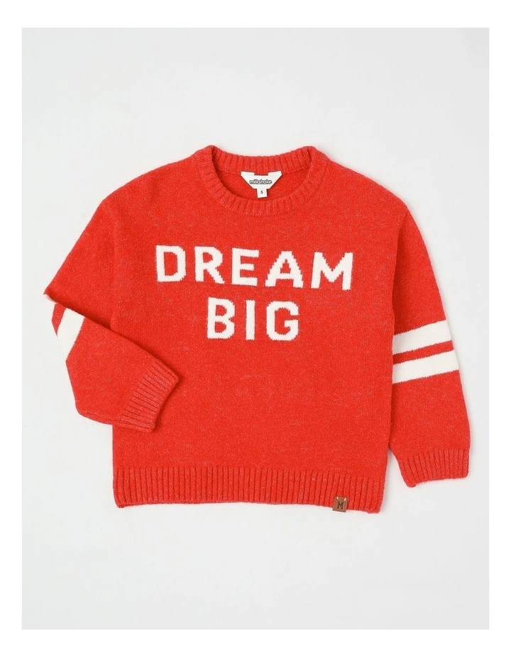 Knit Sweater with Sleeve Stripe in Red image 1