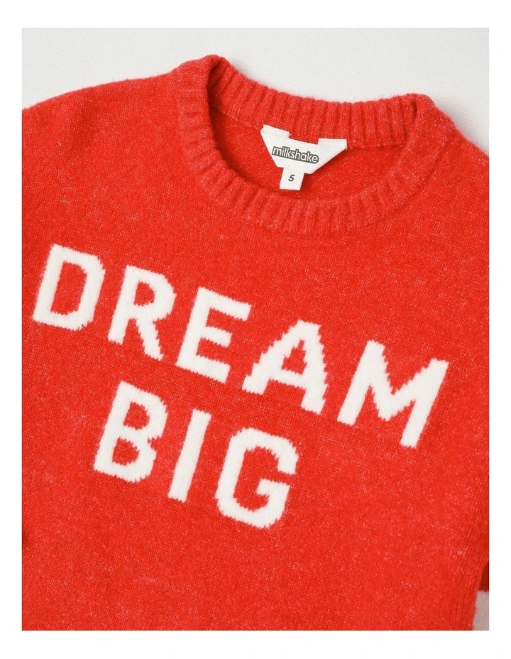 Knit Sweater with Sleeve Stripe in Red image 2