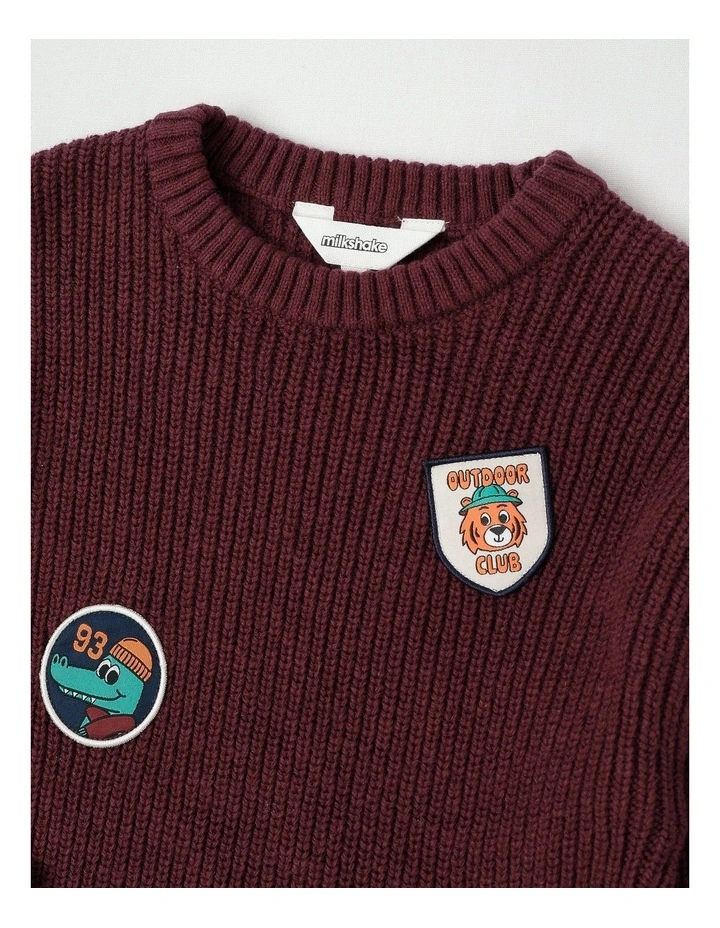 Knit Jumper with Badges in Burgundy image 2
