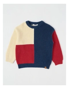 Fishmerman Rib Knit in Multi