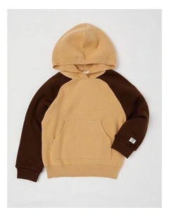 Hooded Raglan Knit Pull Over in Brown Marle