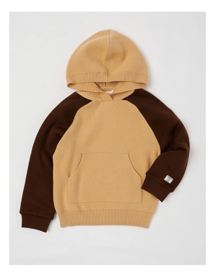 Hooded Raglan Knit Pull Over in Brown Marle image 1